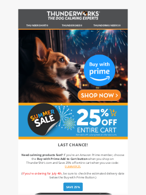 ThunderWorks Inc - Very Last Chance for a calm dog on July 4th