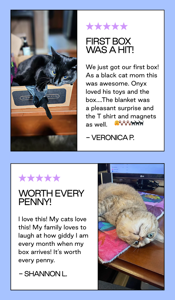 50% Off Your First Box when You Come Back to Cat Lady Box