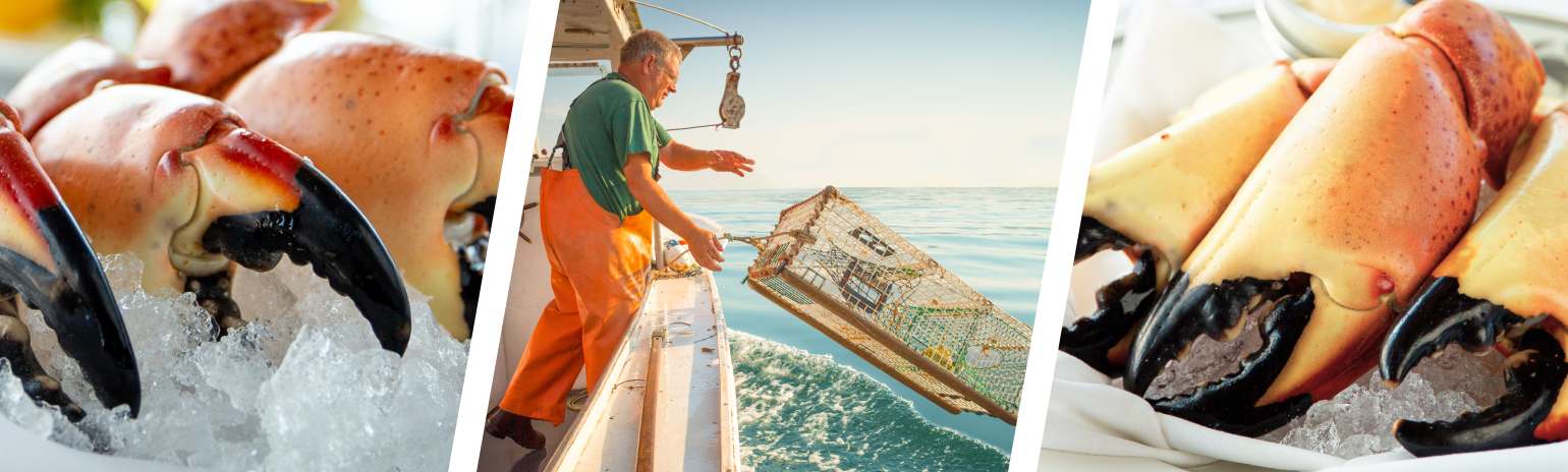 inages of Florida Stone Crab Claws and fishing