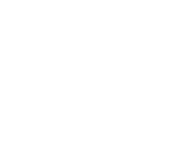 Celebrity X Cruises Logo