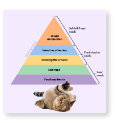 A social post about a cat's priorities in the form of a pyramid