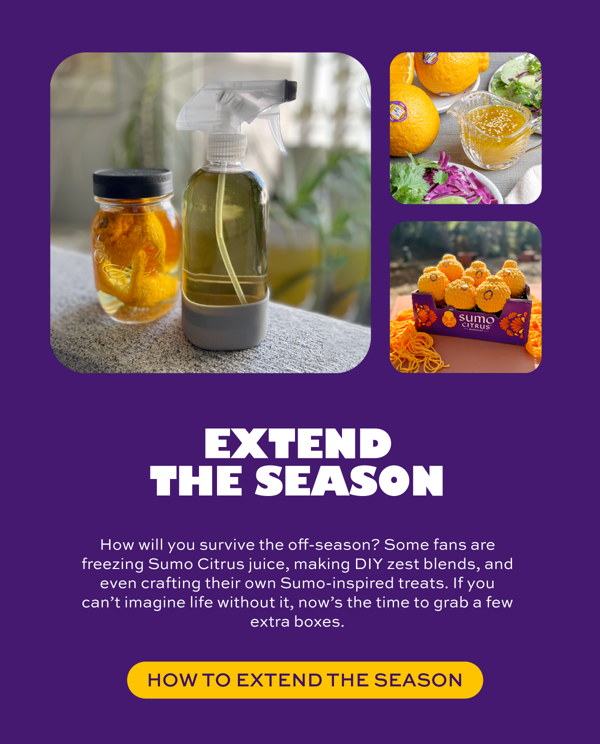Extend the Season How will you survive the off-season? Some fans are freezing Sumo Citrus juice, making DIY zest blends, and even crafting their own Sumo-inspired treats. If you can’t imagine life without it, now’s the time to grab a few extra boxes.