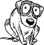 sad dog