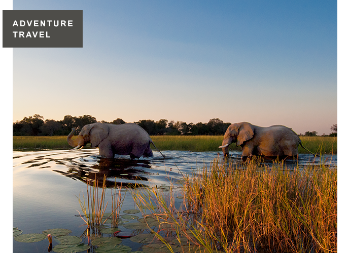 ADVENTURE TRAVEL. Elephant sighting on the Botswana Adventure Safari