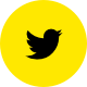 Follow us on Twitter