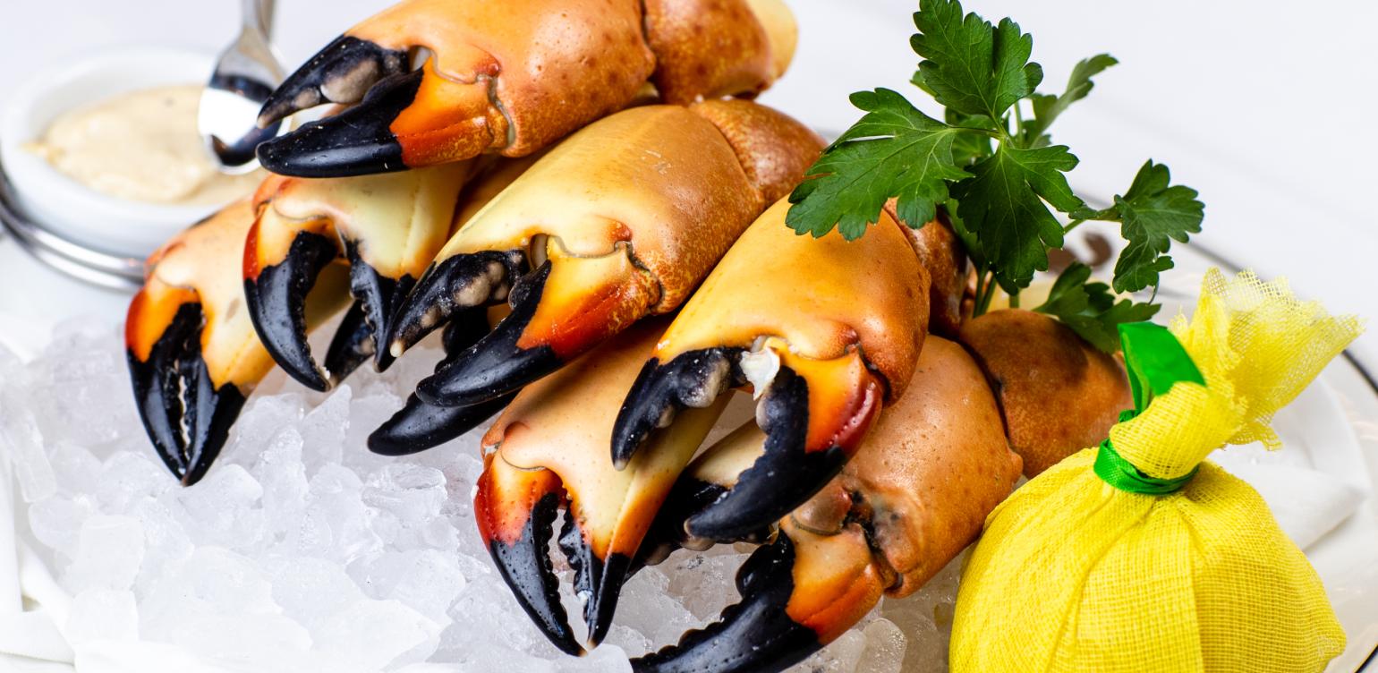  plated Florida Stone Crab Claws