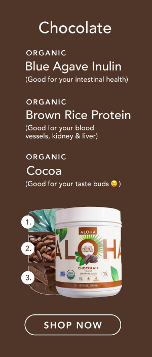 Chocolate Plant-Based Protein Powder