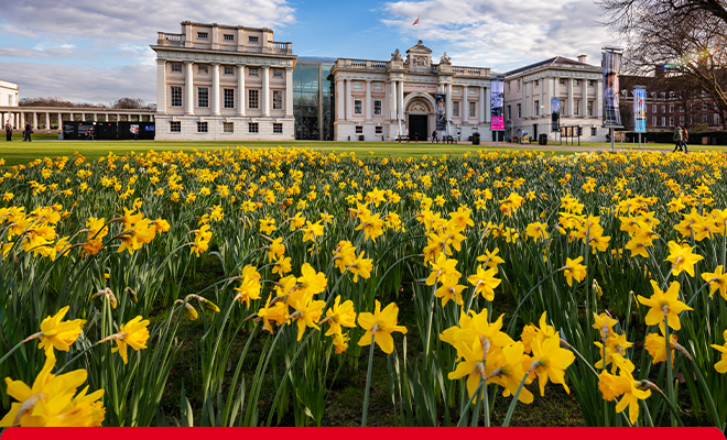Daffodil's outside Greenwich Maritime Museum. Image credit London and Partners.