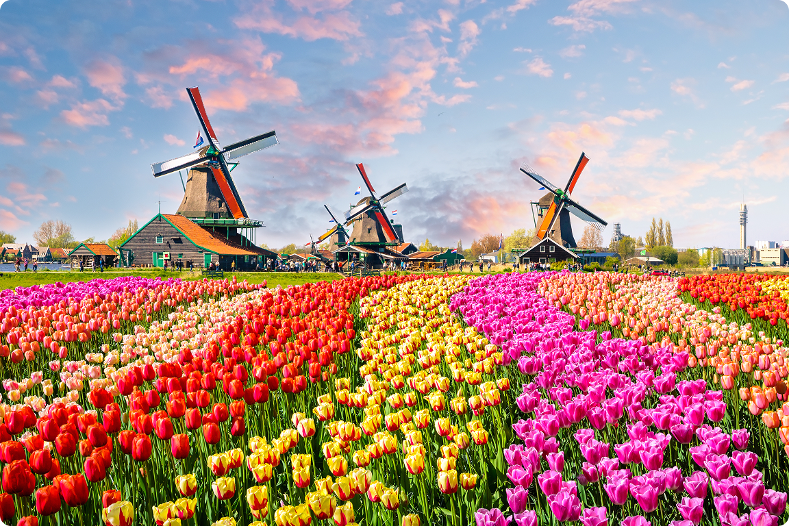 Keukenhof Gardens, the world’s largest tulip field.
