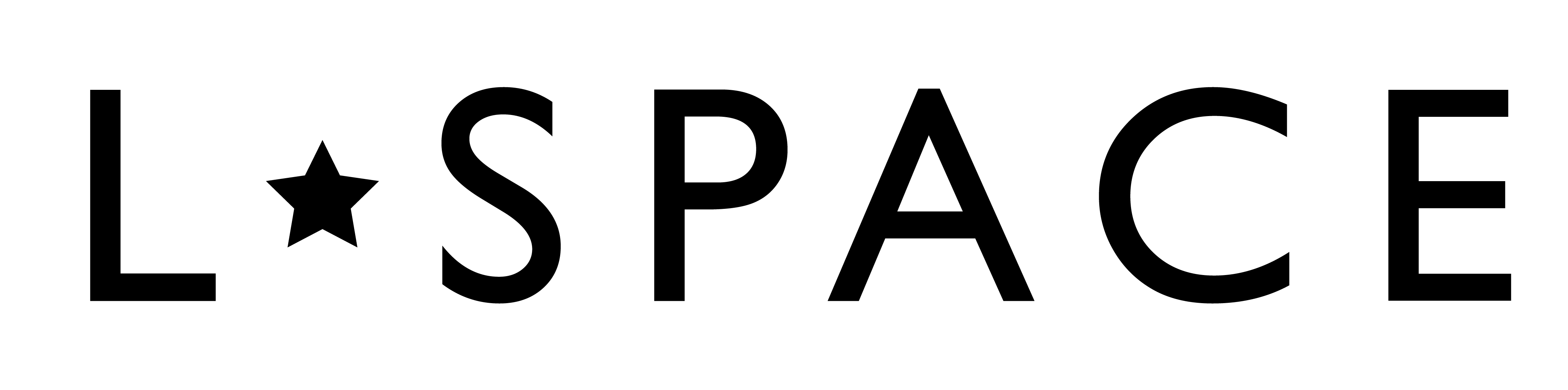 LSPACE STORE LOGO