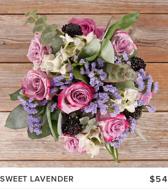 Valentine's Day Flowers