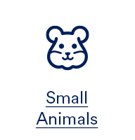 Small Animals