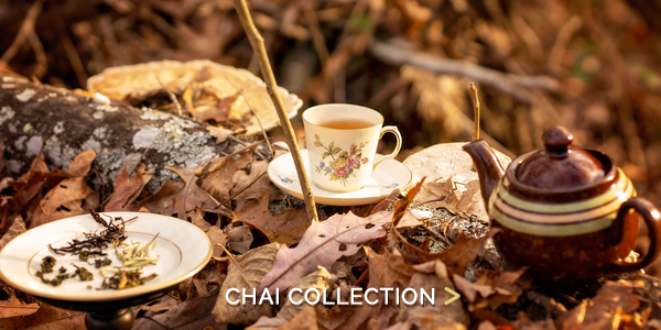 Shop the Chai Collection