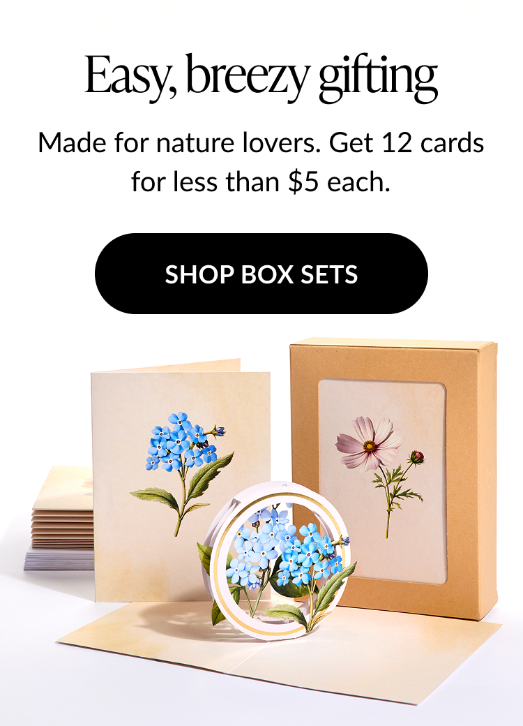 A banner showcasing boxed sets for easy breezy gifting.