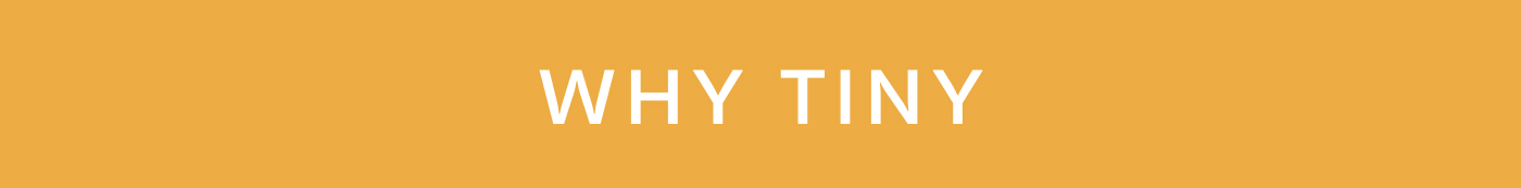 Why Tiny