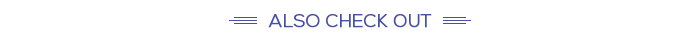 Also Check Out