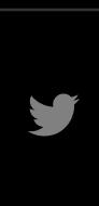 X (Formerly Twitter)