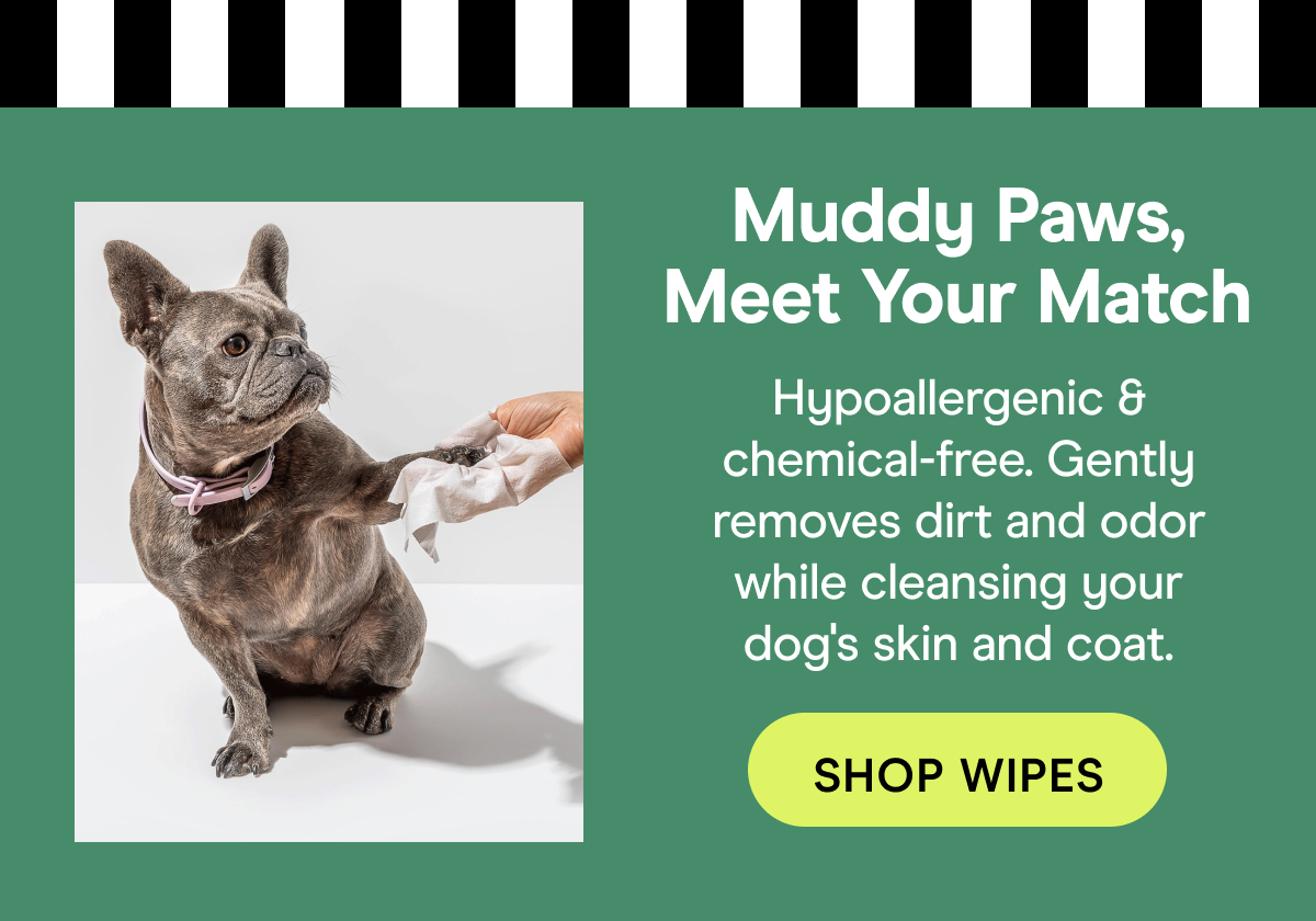 Muddy Paws, Meet Your Match! Hypoallergenic & chemical-free. Gently removes dirt and odor while cleansing your dog's skin and coat.