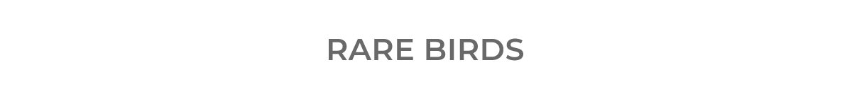 Shop Rare Birds