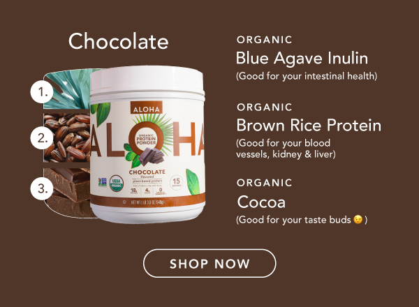 Chocolate Plant-Based Protein Powder