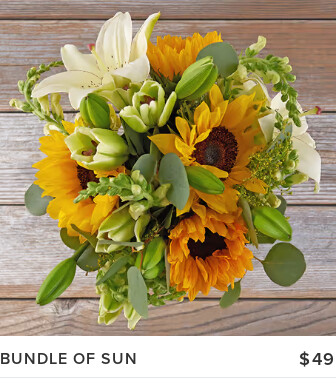 Valentine's Day Flowers