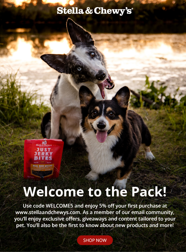 Use code WELCOME5 at checkout and enjoy 5% off your first purchase at www.stellaandchewys.com. 