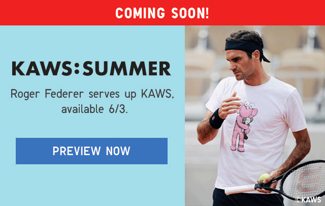BANNER - ROGER FEDERER IN KAWS