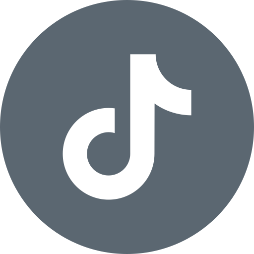 TikTok icon