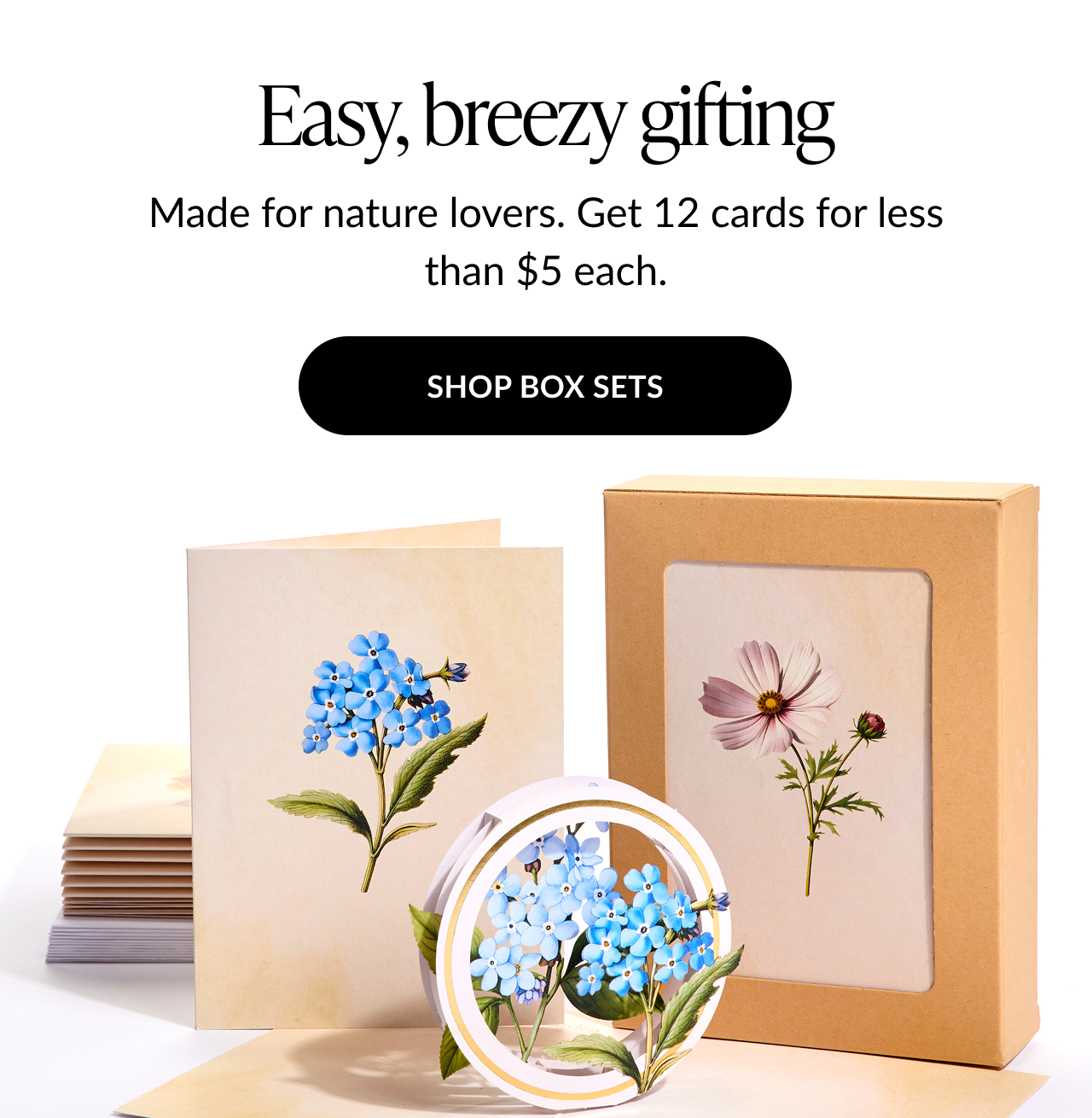 A banner showcasing boxed sets for easy breezy gifting.